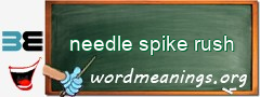 WordMeaning blackboard for needle spike rush